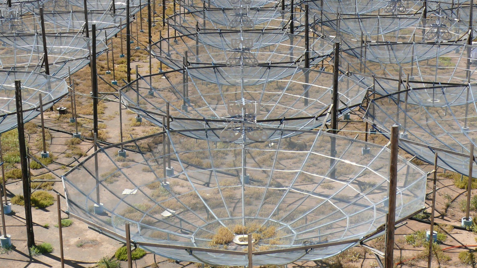 The HERA radio telescope in the Karoo desert
